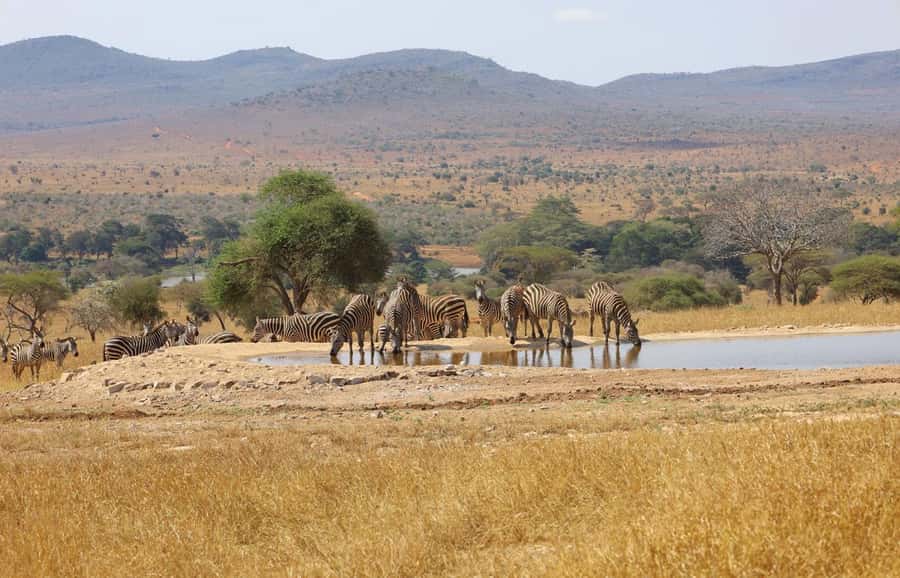 Overnight Safari to Saltlick through Tsavo East Park - Tsavo East through Bachuma Gate and Aruba Dam