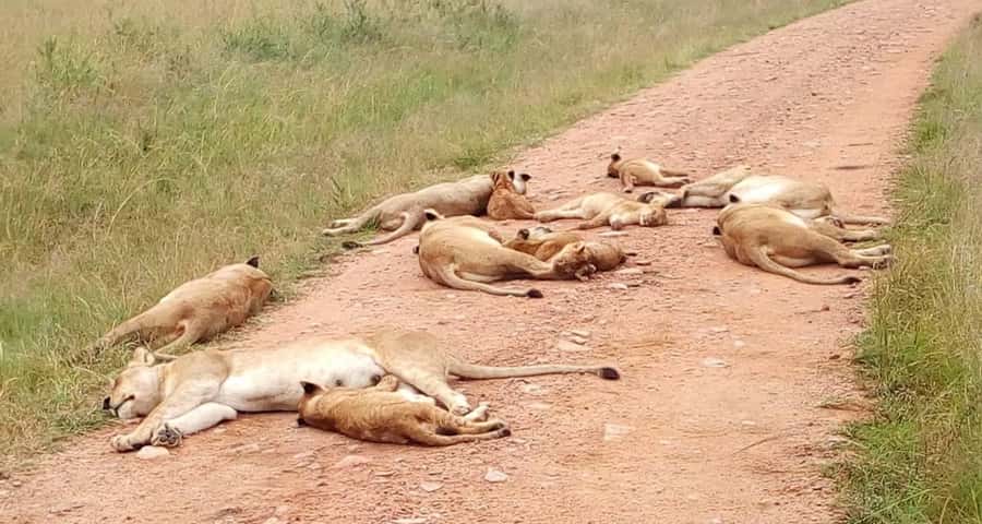 Overnight Safari to Tsavo East From Diani Beach - Why Tsavo East works well as an overnight safari