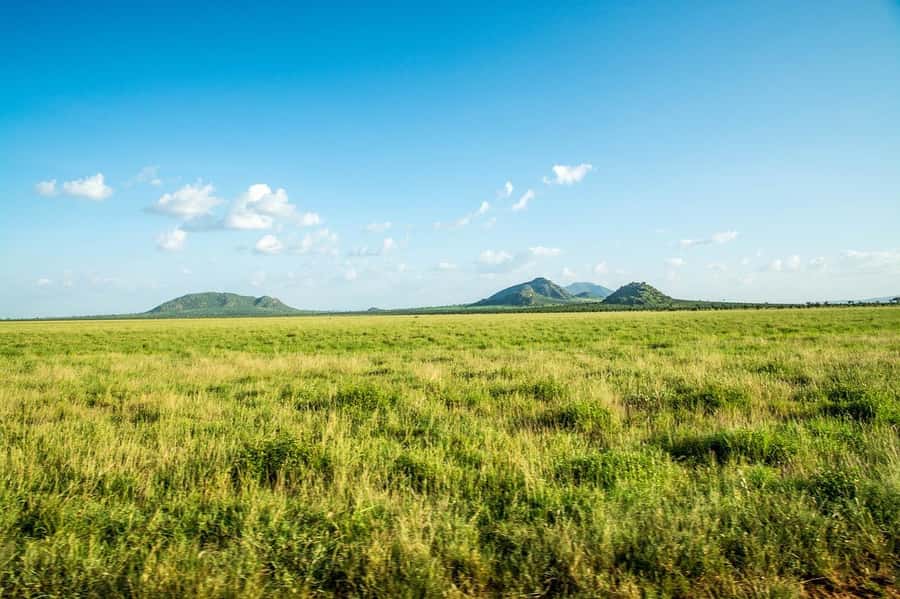 Overnight safari to Tsavo East from Mombasa - Key points to know before booking