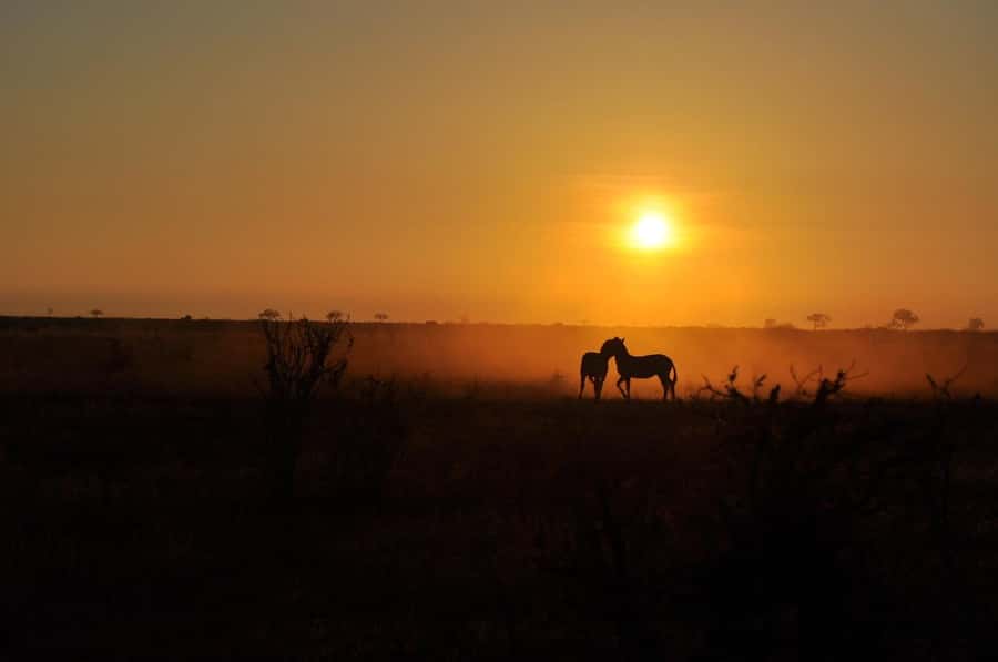 Overnight safari to Tsavo East from Mombasa - What the $450 price really covers