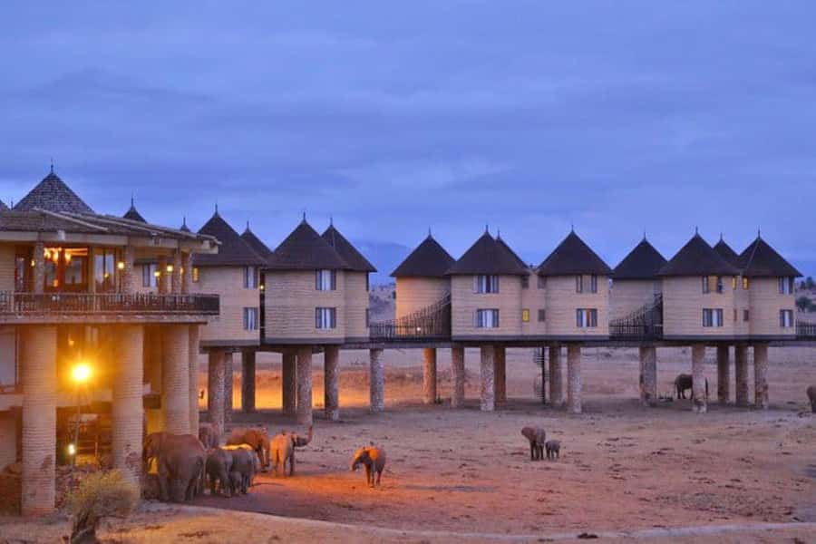 Overnight salt Lick Safari from Mombasa - Night at Salt Lick and the value of staying over