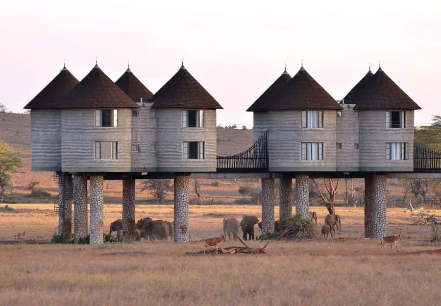 Overnight salt Lick Safari from Mombasa - The early road from Mombasa to Taita Hills