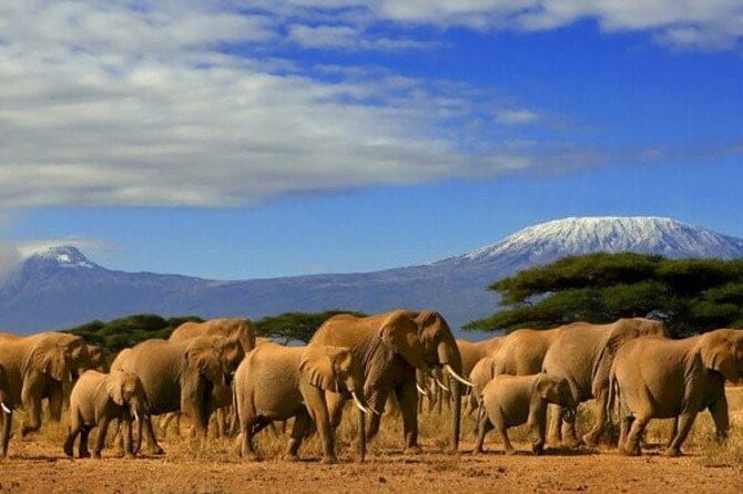 Overnight Tour in Amboseli National Park from Nairobi - The Nairobi pickup and the long road south