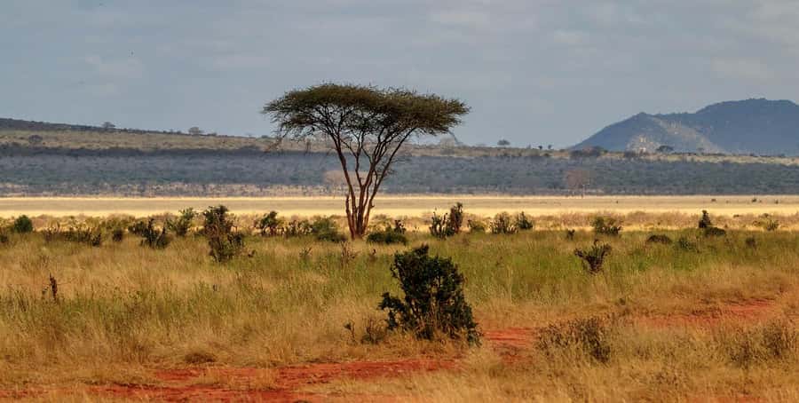 Overnight Tsavo East Safari From Mombasa/Diani (Private) - Bachuma Gate and the first Tsavo East sightings