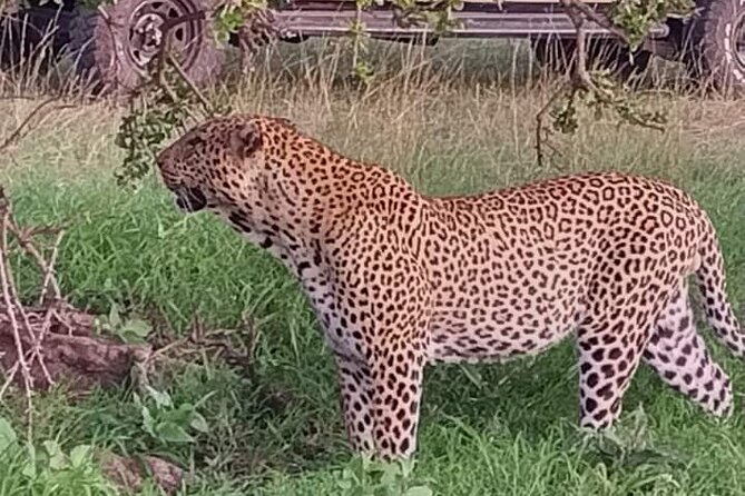 Private 2 Days Safari Tsavo East from Watamu - Lunch, rest, and the overnight stay
