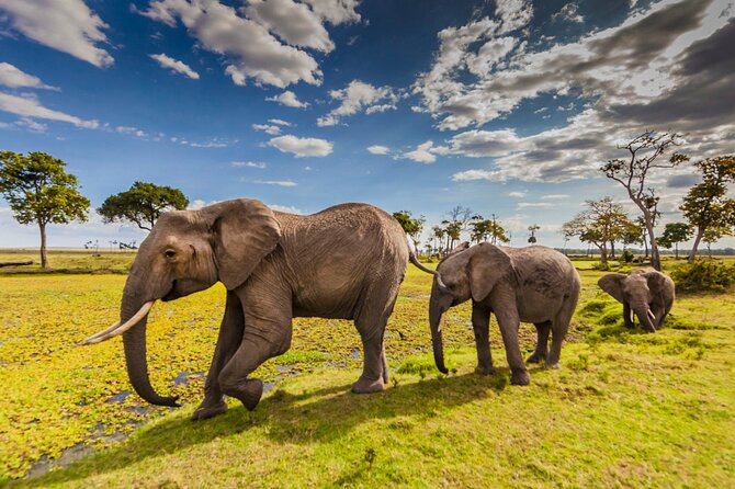 Private 3-Day Masai Mara Safari Adventure - What $750 buys you