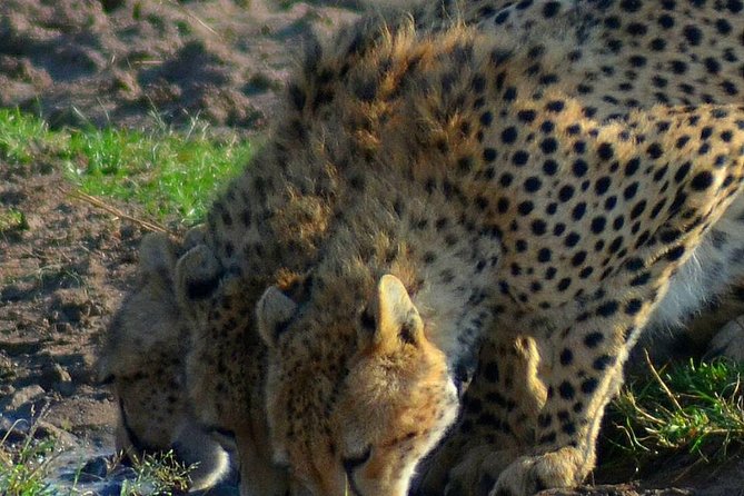 Private 3 Day Tsavo East Safari from Mombasa - The three-hour road to Bachuma Gate