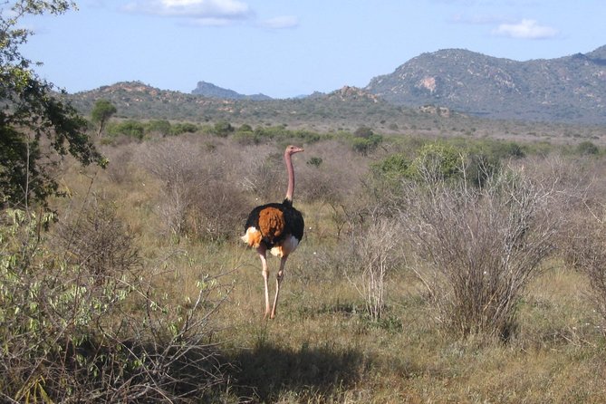 Private 3 Day Tsavo East Safari from Mombasa - George, Joel, and the guide experience