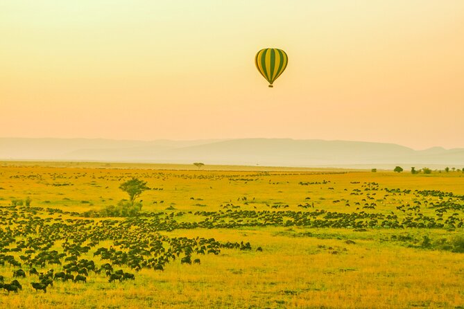Private 3 Days Astounding Masai Mara Migration Safari. - The First Afternoon Game Drive