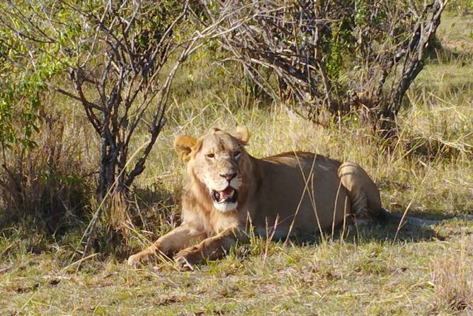 Private 5 Day Maasai Mara with Lake Nakuru and Lake Naivasha Tour - What the five-day route really gives you