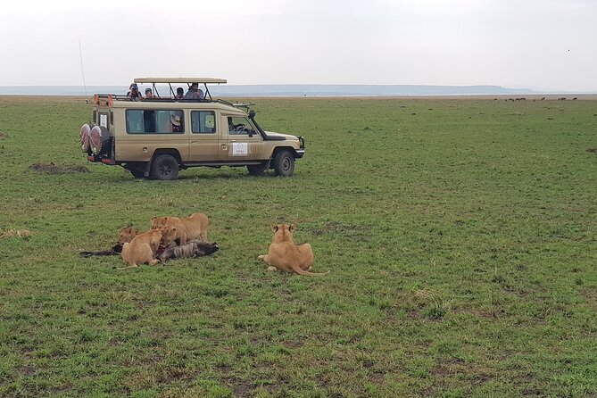 Private 5 Day Maasai Mara with Lake Nakuru and Lake Naivasha Tour - Day four: Dawn in Nakuru, then hippos on Lake Naivasha