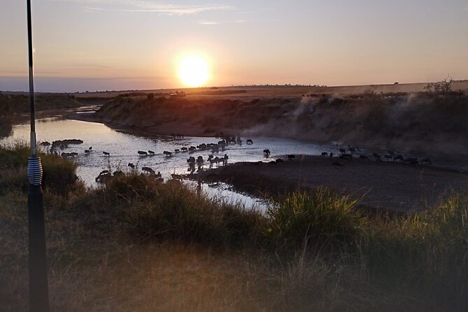 Private 5 Day Maasai Mara with Lake Nakuru and Lake Naivasha Tour - The guide can make or break the safari