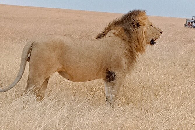 Private 6-Days Tour Exploring in Amboseli & Nakuru National Park - Key points to know before booking