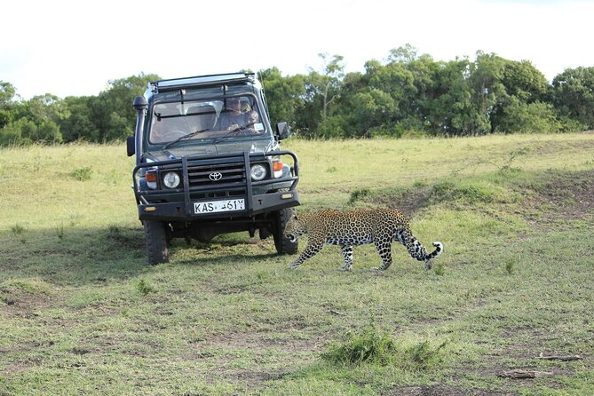 Private 7 Days Kenya Safari Amboseli, Naivasha, Nakuru, Mara - Day 7: Returning to Nairobi