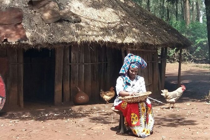 Private Afternoon Tour to Bomas of Kenya - The traditional music and dance show