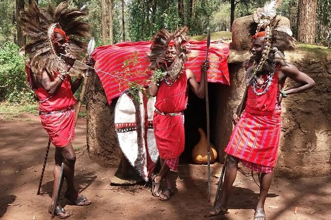Private Afternoon Tour to Bomas of Kenya - What the guide adds to the visit