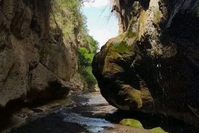 Private Day tour to Hell's Gate National Park and Lake Naivasha - How the private format changes the day