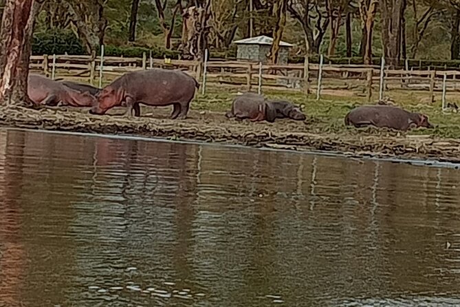 Private Day tour to Hell's Gate National Park and Lake Naivasha - Cycling through Hell’s Gate National Park