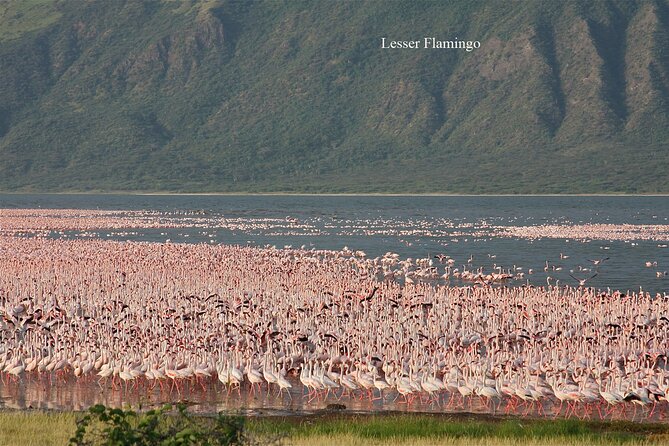 Private Day Tour to Lake Baringo from Nairobi - Lunch and the small practical extras