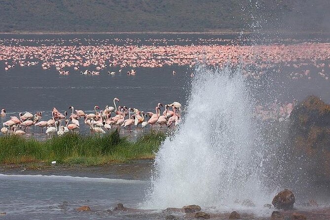 Private Day Tour to Lake Baringo from Nairobi - The guide can shape the whole day
