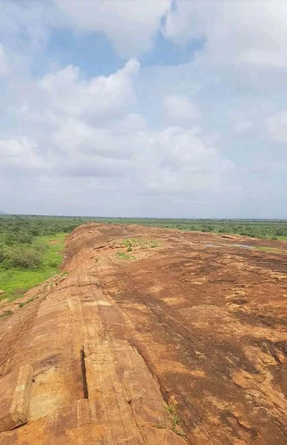 Private day tour to Tsavo East National Park - Why Tsavo East makes a good coastal safari