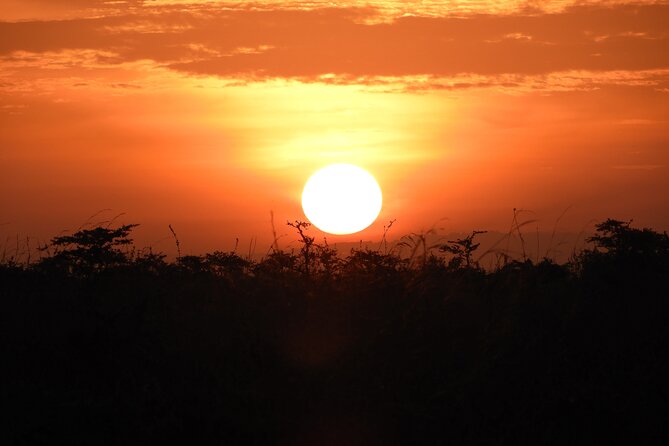Private escape to:Nairobi national park tour 6.a.m to 11a.m - Seeing animals from the pop-up roof