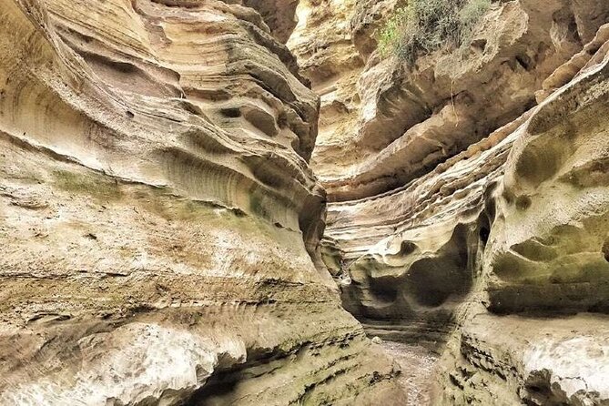 Private Full-Day Tour To Hell's Gate Biking and Lake Naivasha from Nairobi - Key Points Before You Book