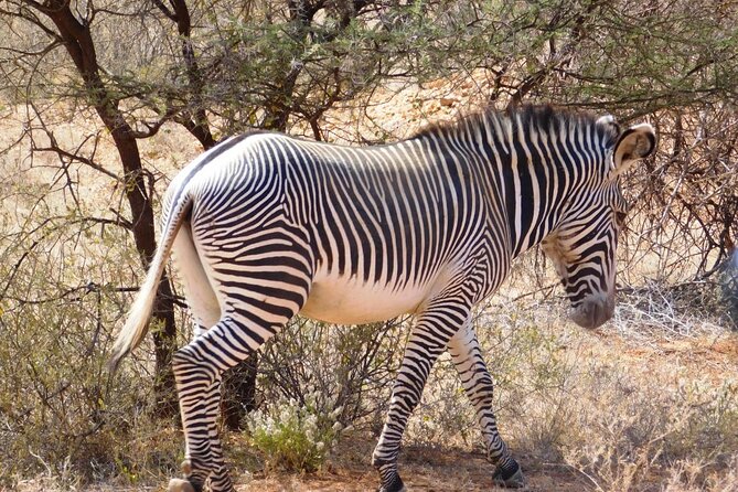 Private Full-Day Tour To Hell's Gate Biking and Lake Naivasha from Nairobi - The Return to Nairobi