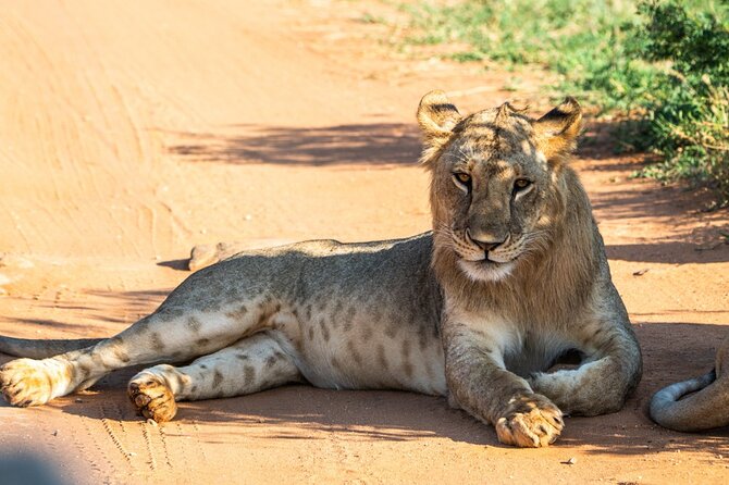 Private full day tour to Tsavo East National Park - Why Tsavo East works as a one-day safari