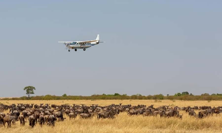 Private Game Drives in Amboseli - Why Amboseli works so well for a half-day safari