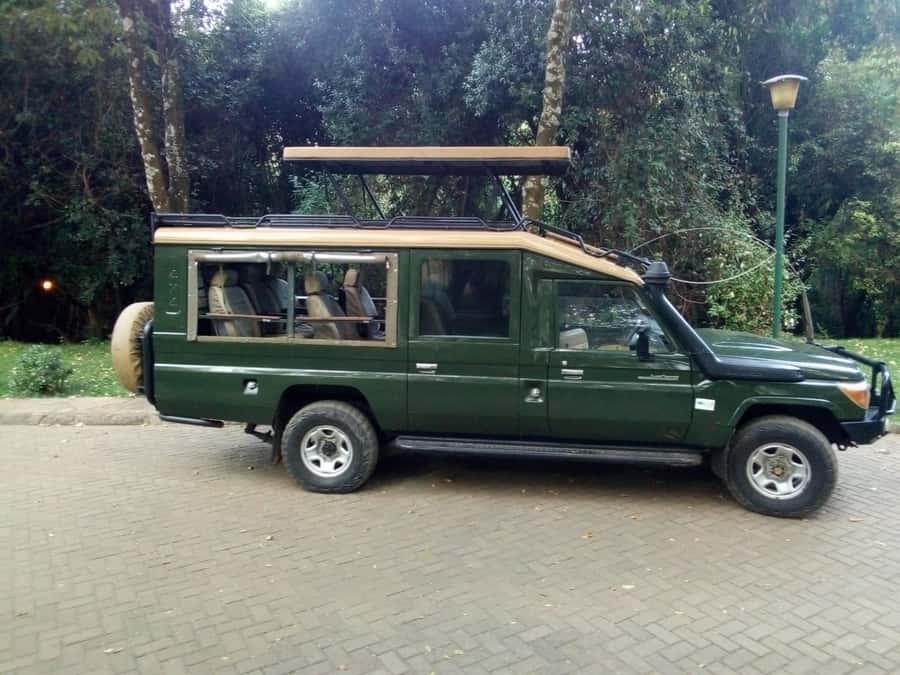 Private Game Drives in Amboseli - What happens inside Amboseli National Park