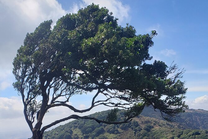 Private Half Day Hike to Ngong Hills from Nairobi - The drive from Nairobi to the trailhead