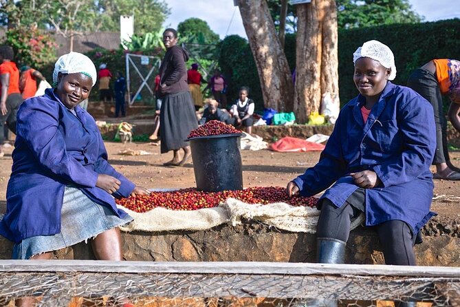 Private Half-Day Tour in Fairview Coffee Farm from Nairobi - The morning drive through Karura Forest