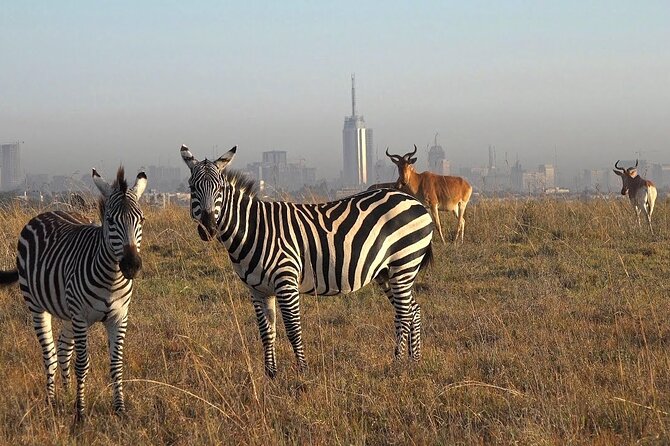 Private Half Day Tour in Nairobi National Park Safari - Key points at a glance
