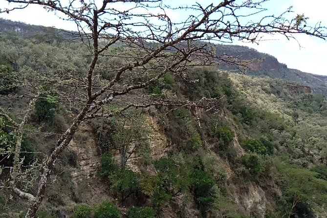 Private Hiking Day Trip to Mt. Longonot from Nairobi - Guides, vehicles, and the private-tour advantage