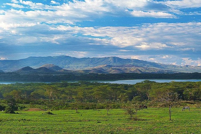 Private Layover Tour to Hells Gate National park with Optional Boat Ride - What the $90 price really covers
