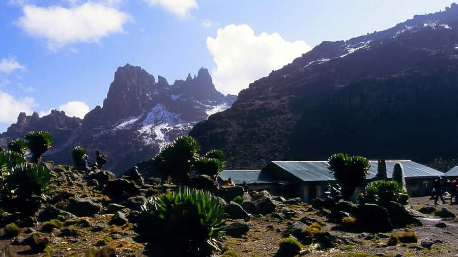 Private Mt. Kenya Hiking Tour - Why This Mt. Kenya Day Trip Is Worth Considering