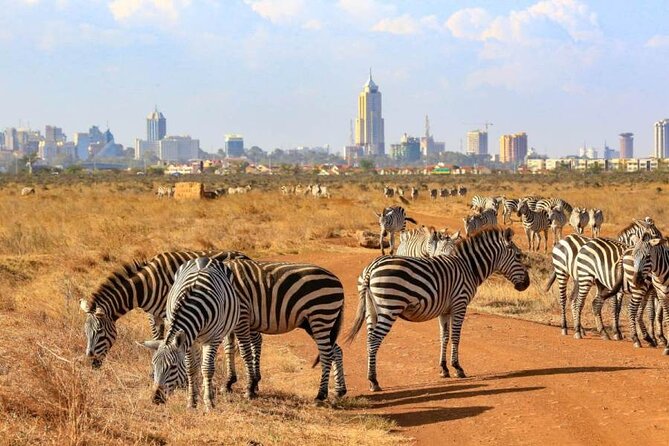 Private Nairobi National Park Day Tour - Why Nairobi National Park feels different