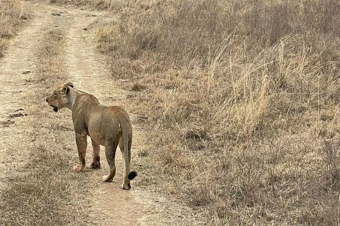 Private Nairobi National Park Day Tour - Guides who make the difference