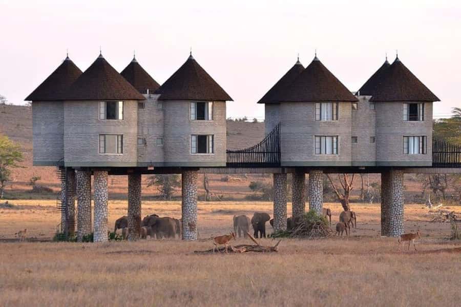 PRIVATE OVERNIGHT SALTLICK SAFARI FROM MOMBASA OR DIANI - From Mombasa or Diani to Taita Hills