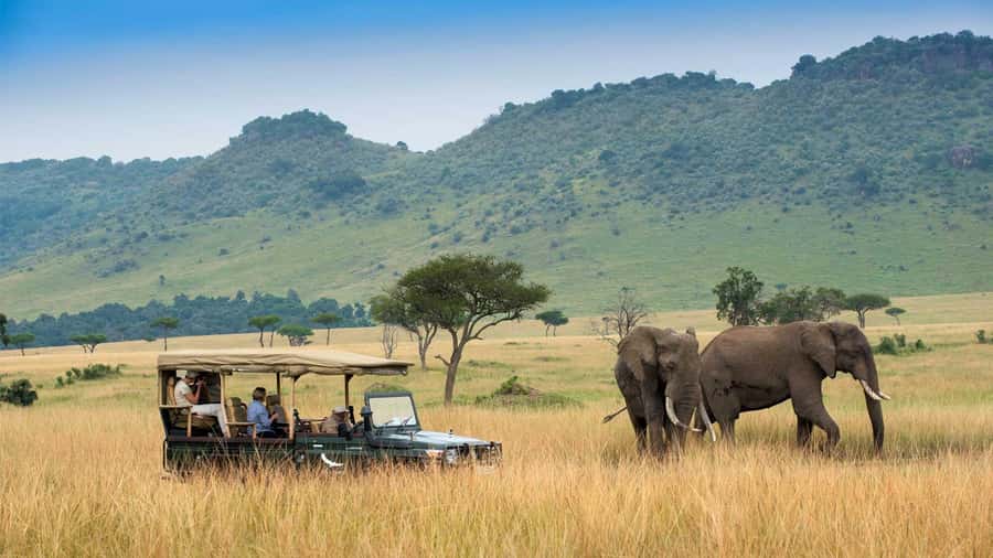 Private Safari Day-Tour in Amboseli National Park - Kilimanjaro views from the Amboseli plains