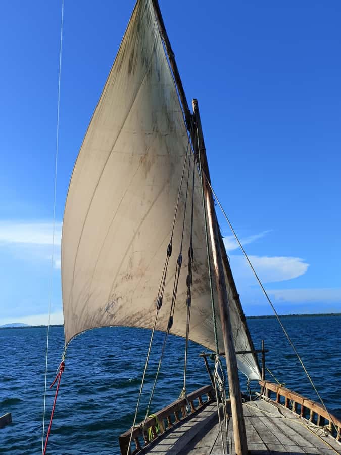Private Sea Safari: Snorkelling & Dolphins from a Dhow - Why a private dhow changes the day