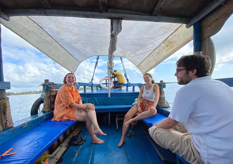 Private Sea Safari: Snorkelling & Dolphins from a Dhow - Dolphin watching with realistic expectations