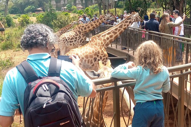 Private Tour in Giraffe Centre and Bomas of Kenya - Key Points At A Glance