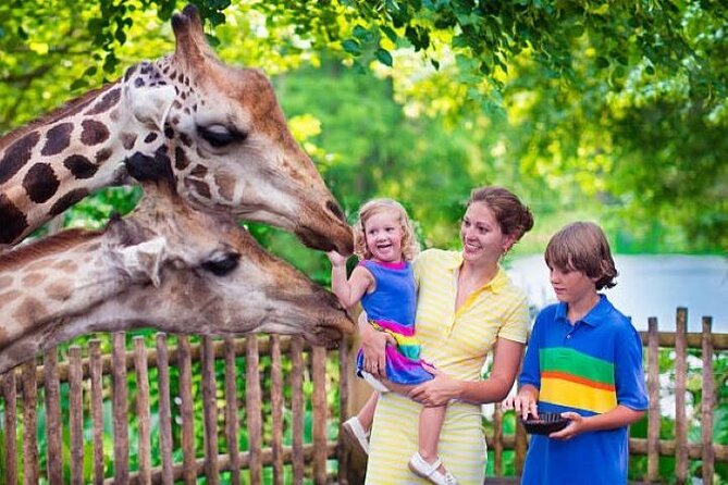 Private Tour in Giraffe Centre and Bomas of Kenya - Music, Dance, And Villages At Bomas Of Kenya