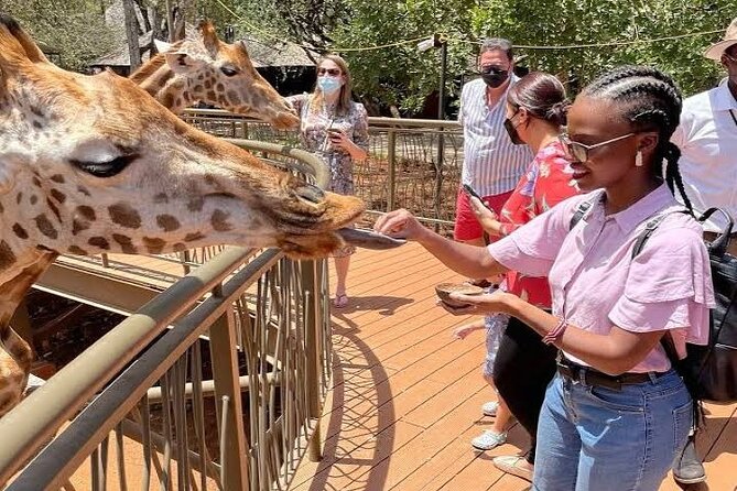 Private Tour in Giraffe Centre and Bomas of Kenya - Timing, Pickup, And The Four-Hour Schedule