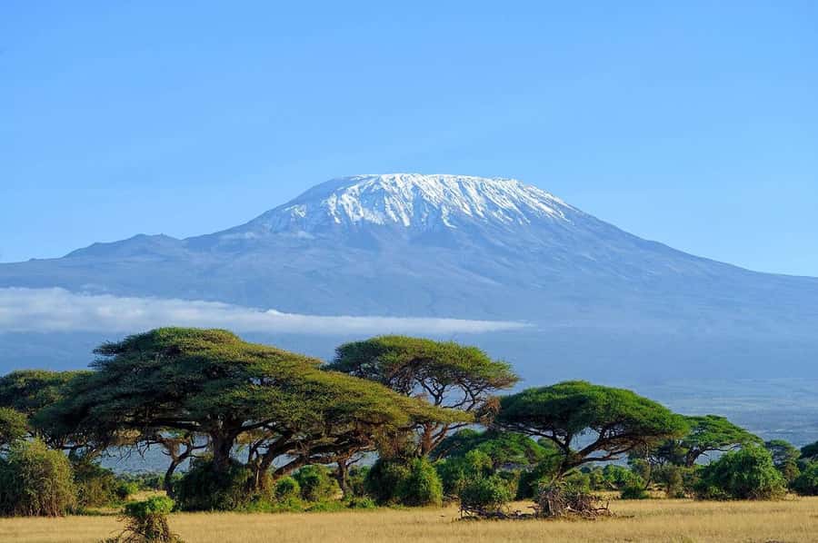 Private Tour to Amboseli National Park - Why Amboseli makes a strong one-day safari