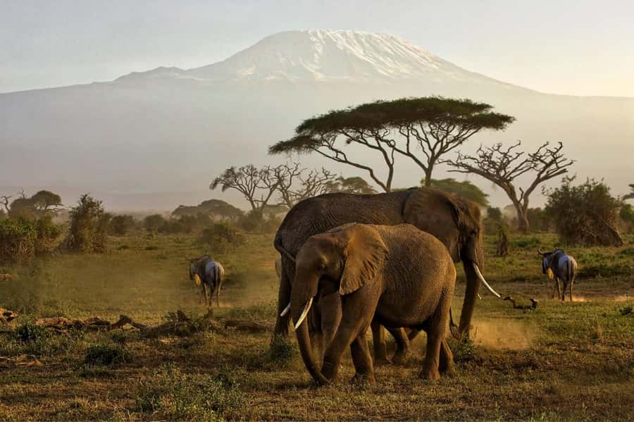 Private Tour to Amboseli National Park - Entering Amboseli for the first game drive
