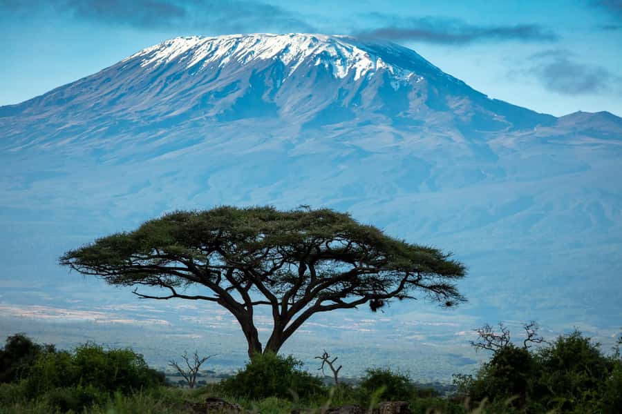 Private Tour to Amboseli National Park - The 5:00 a.m. ride from Nairobi