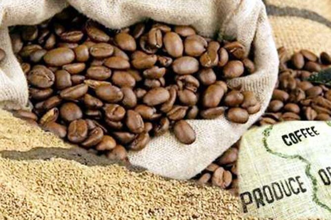 Private Tour to Fairview Coffee Farm in Nairobi with Pickup - Morning or afternoon session?